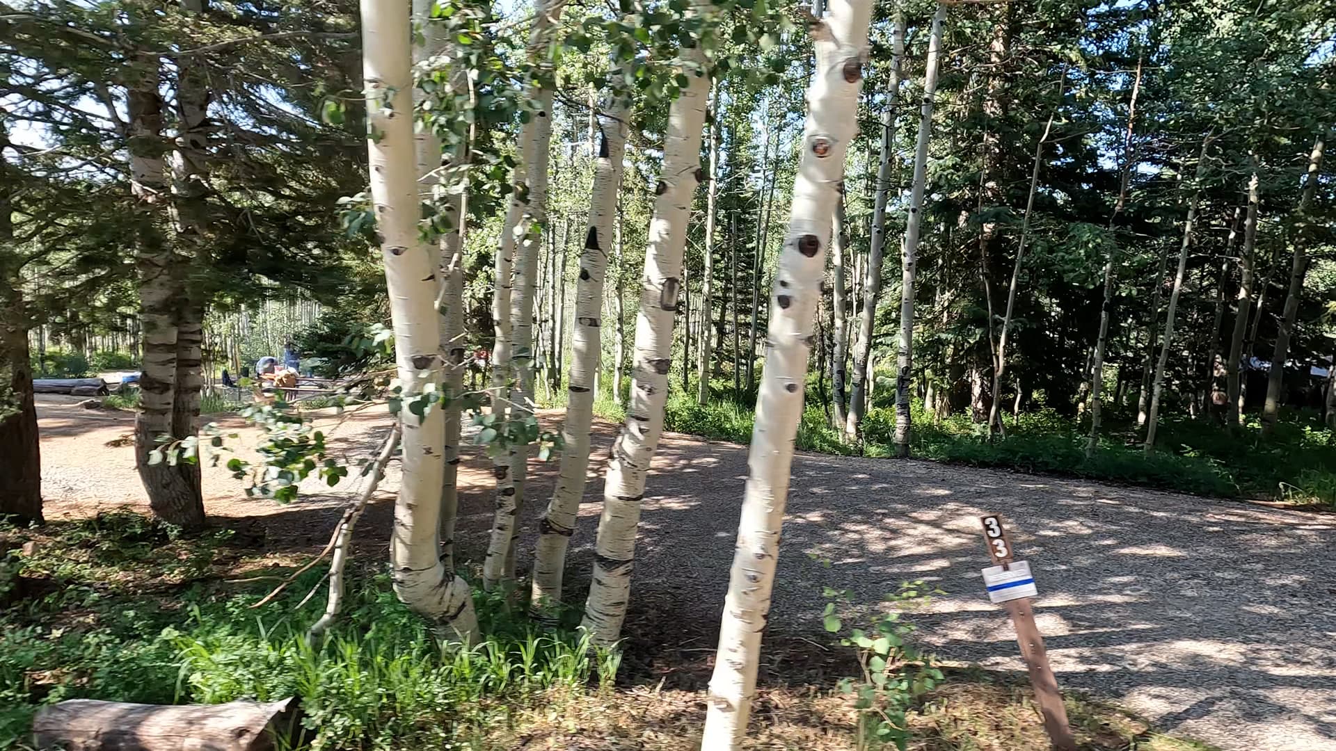Site 33