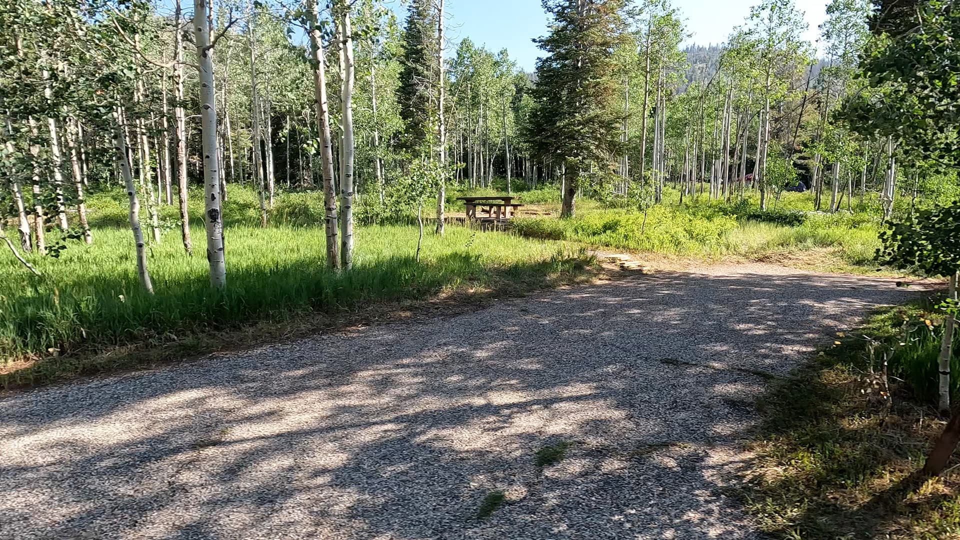 Site 17