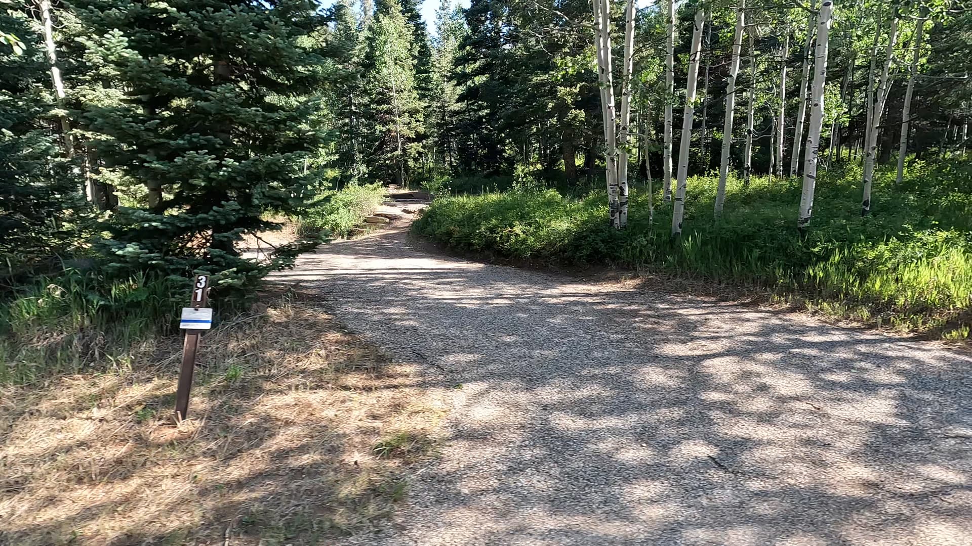 Site 31