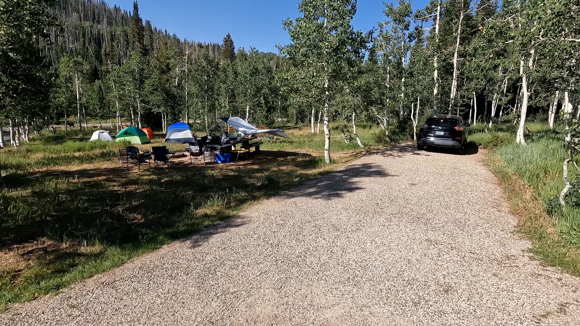Site 13