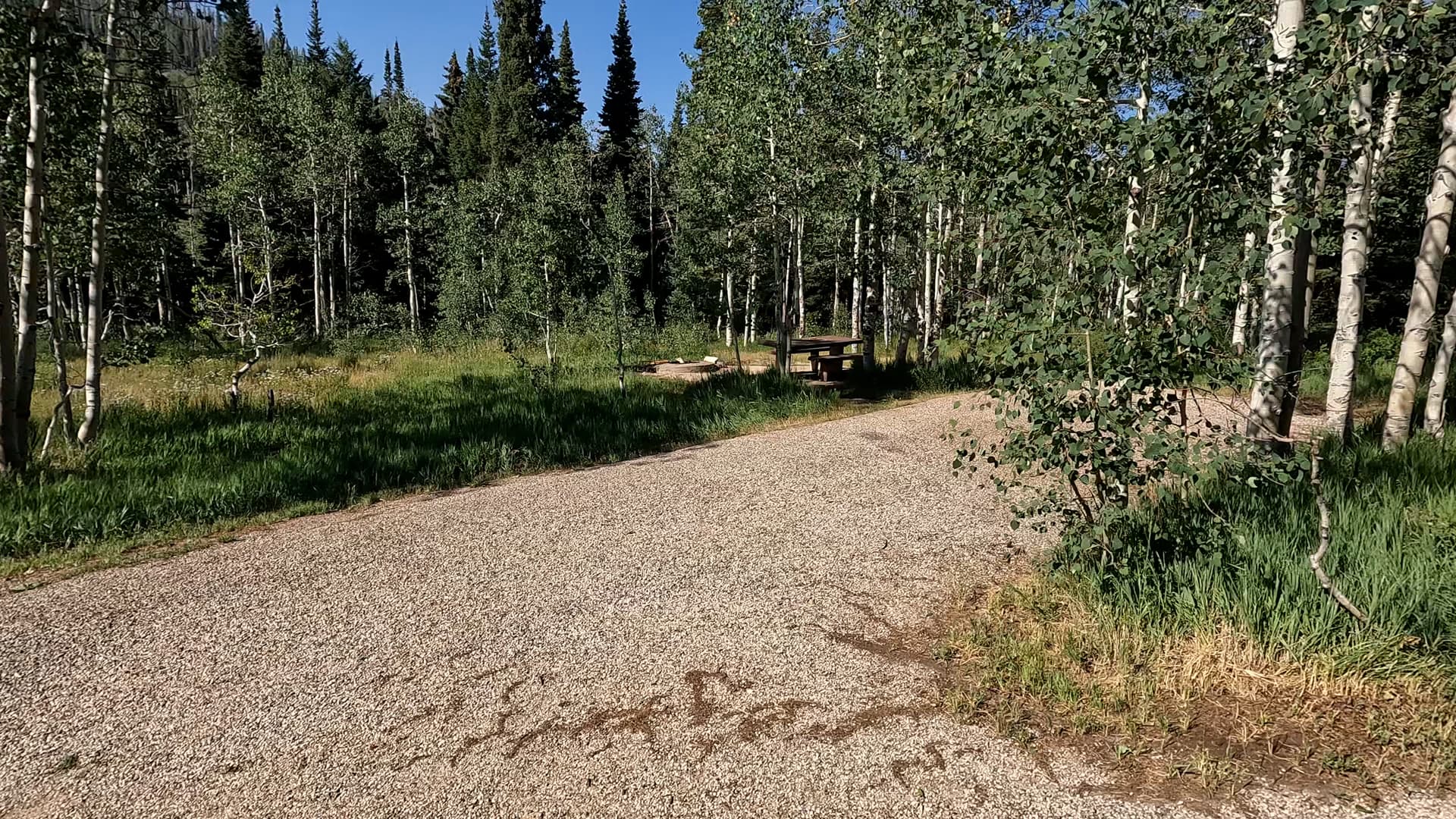 Site 15