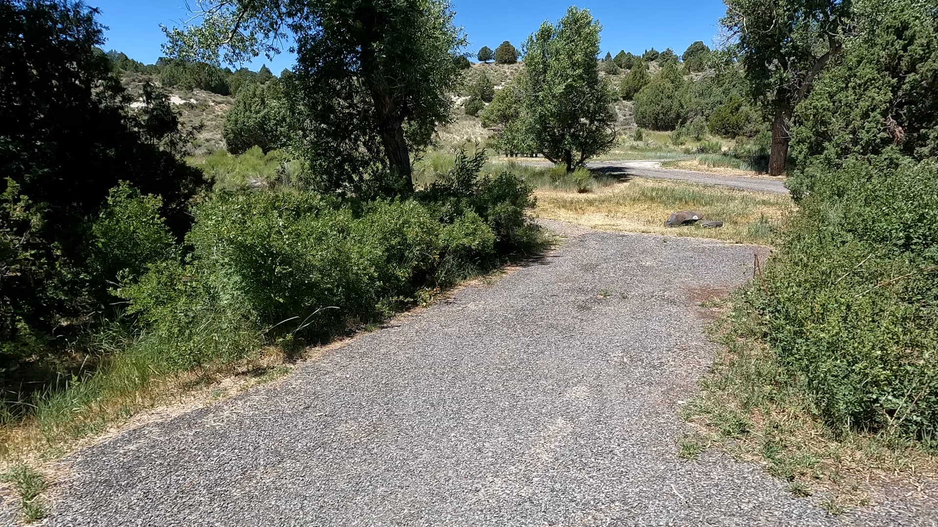 Site 14