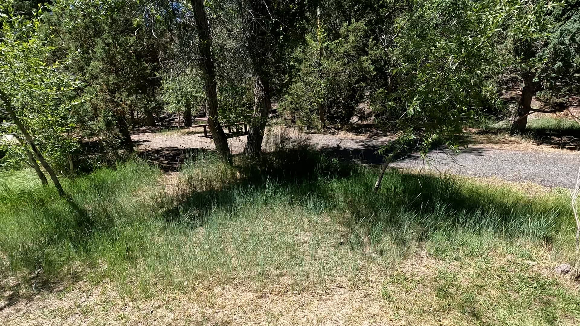 Site 26