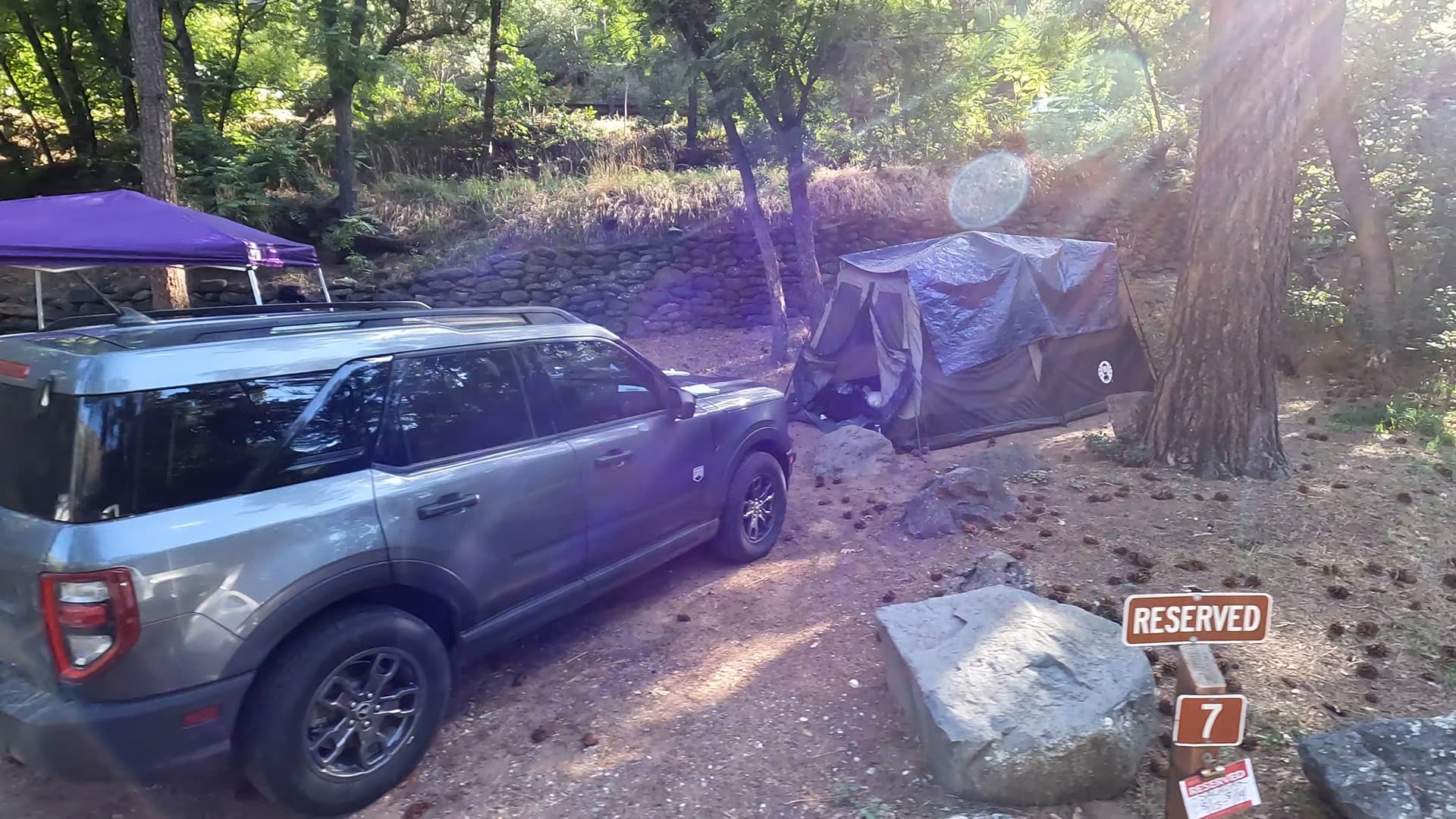 Site 7