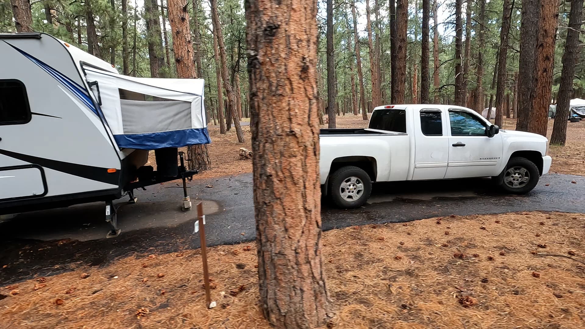 Site 3