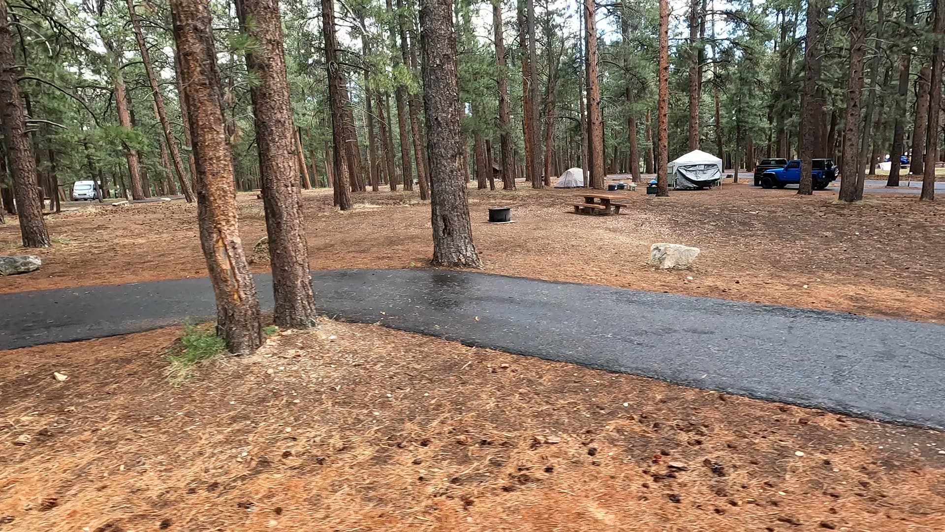 Site 4