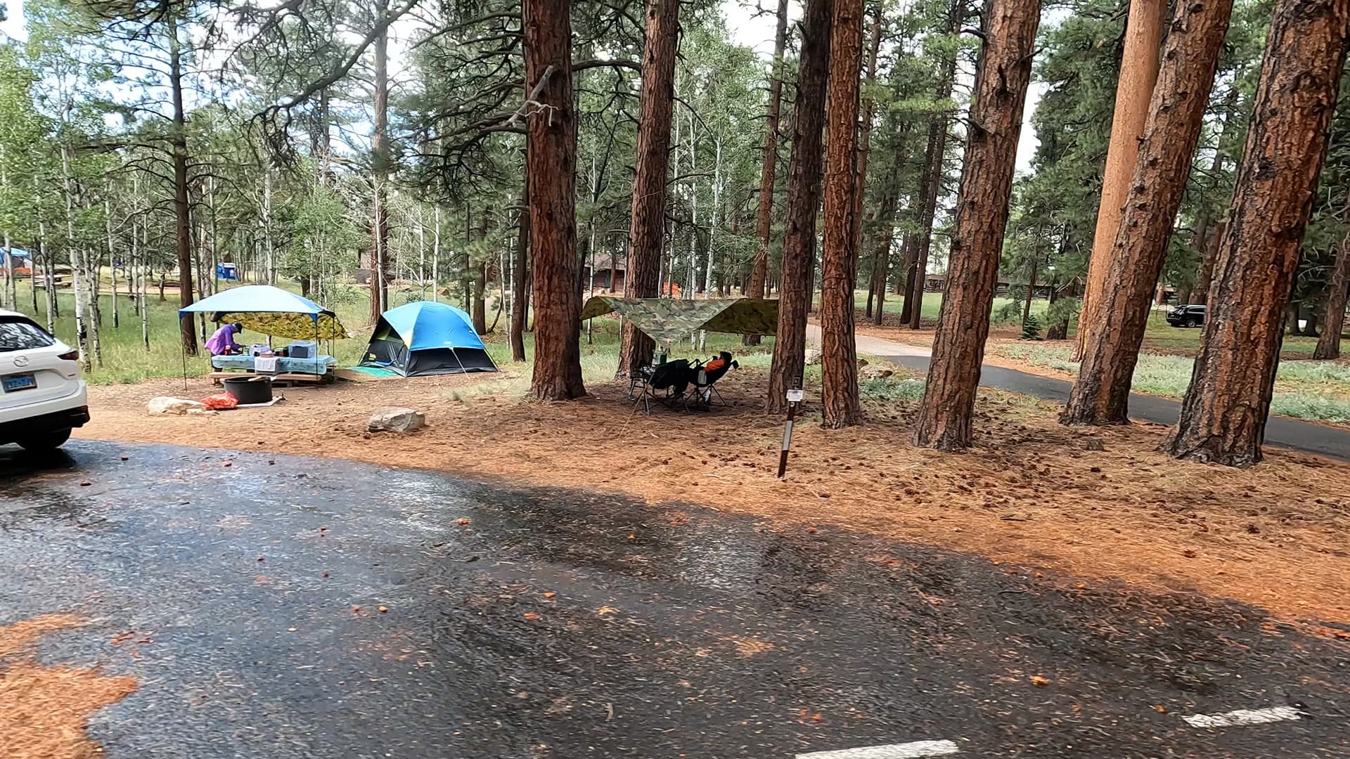 Site 5