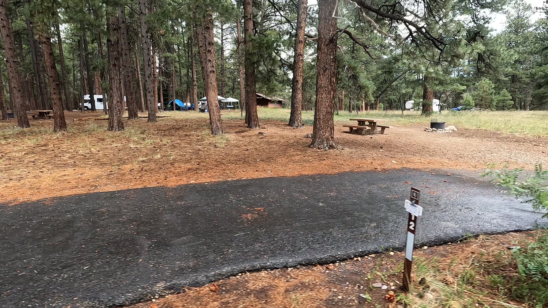 Site 12