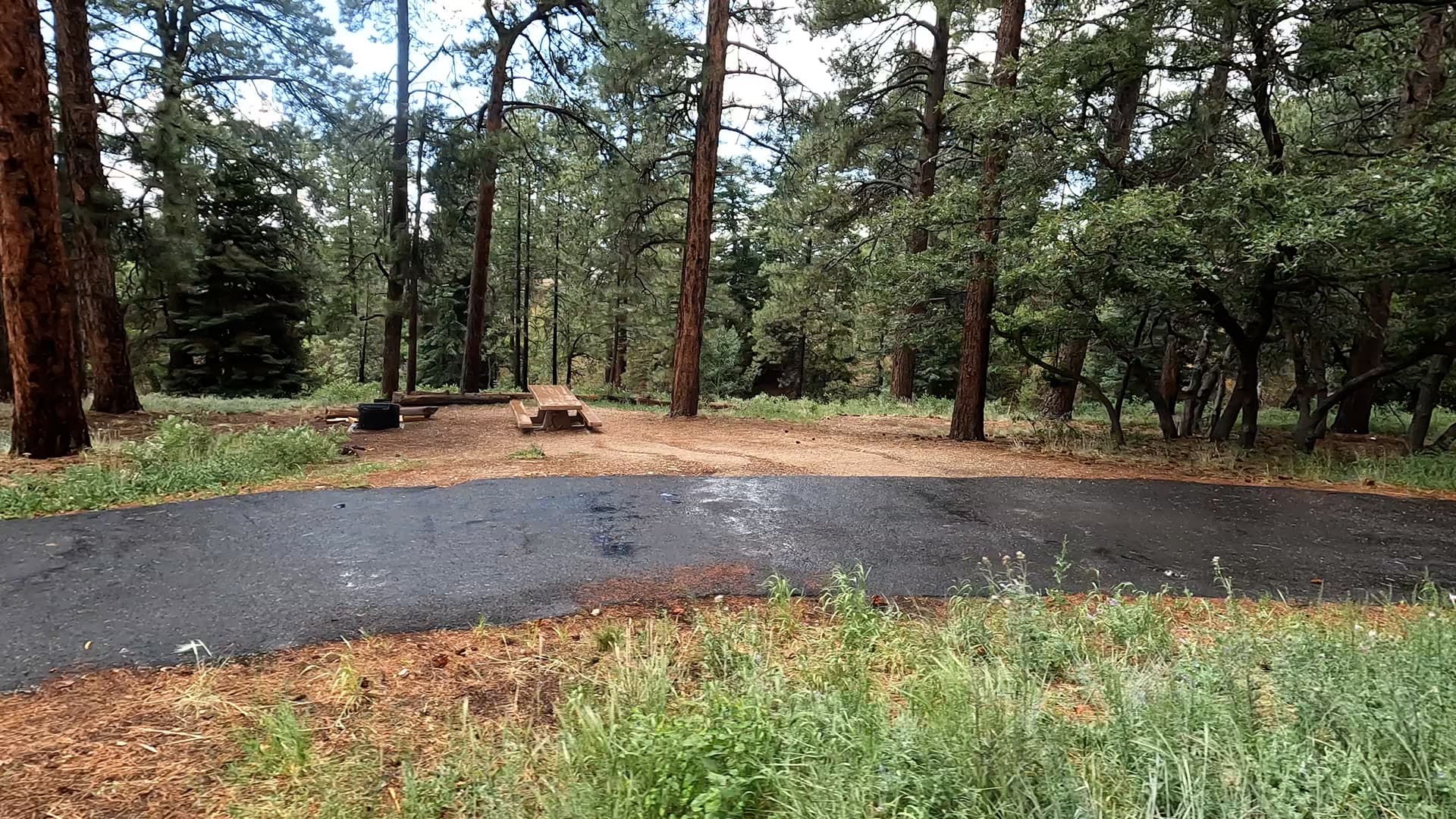 Site 10