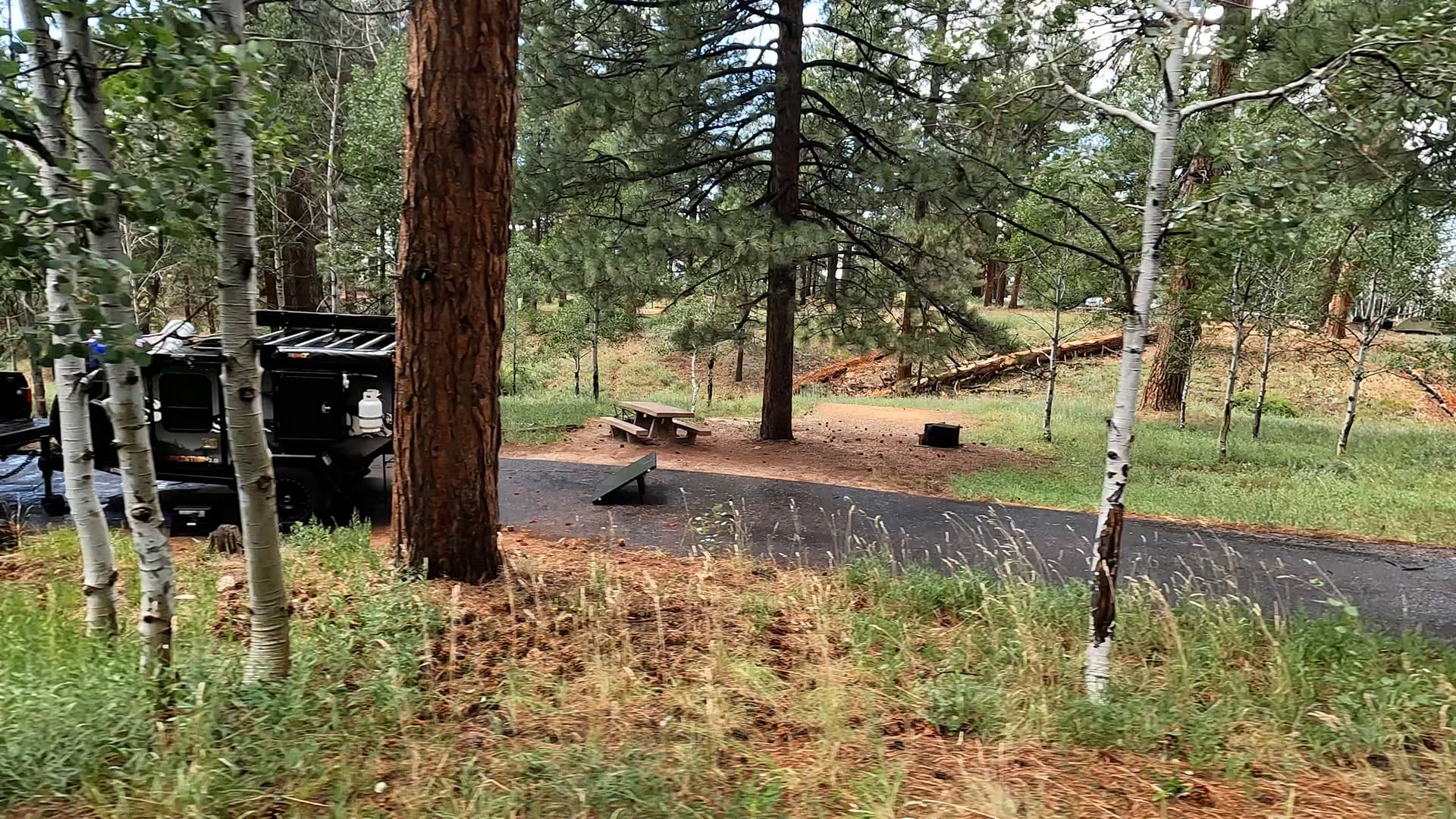 Site 7