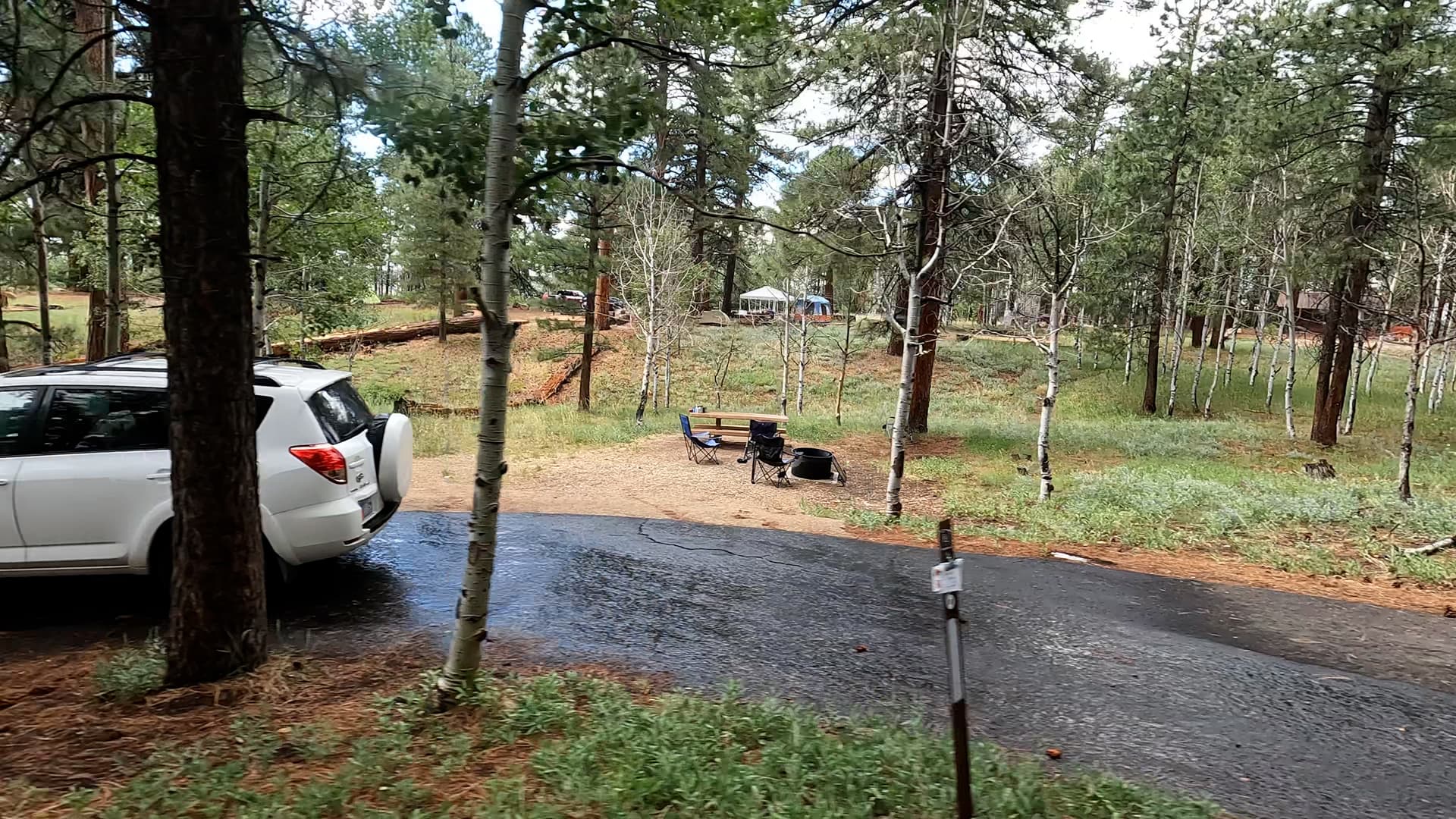 Site 6