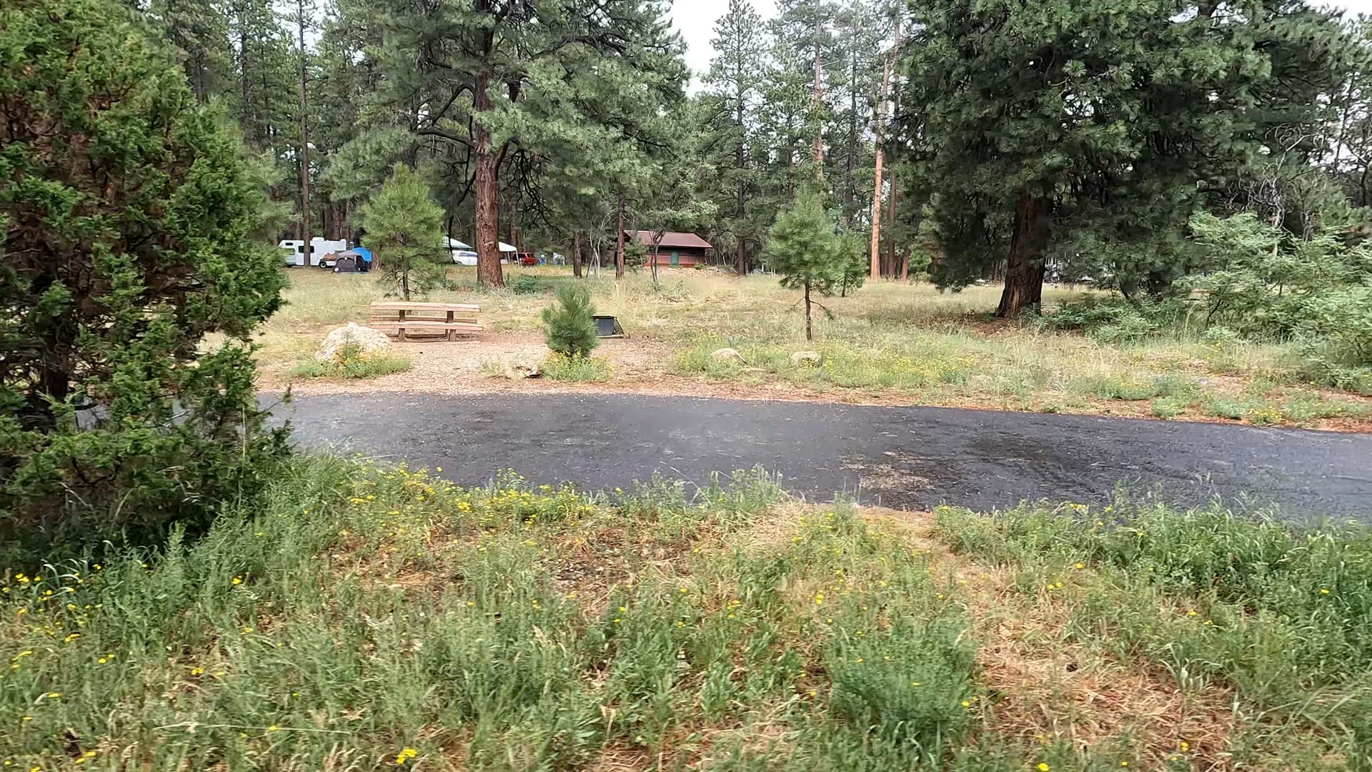Site 13