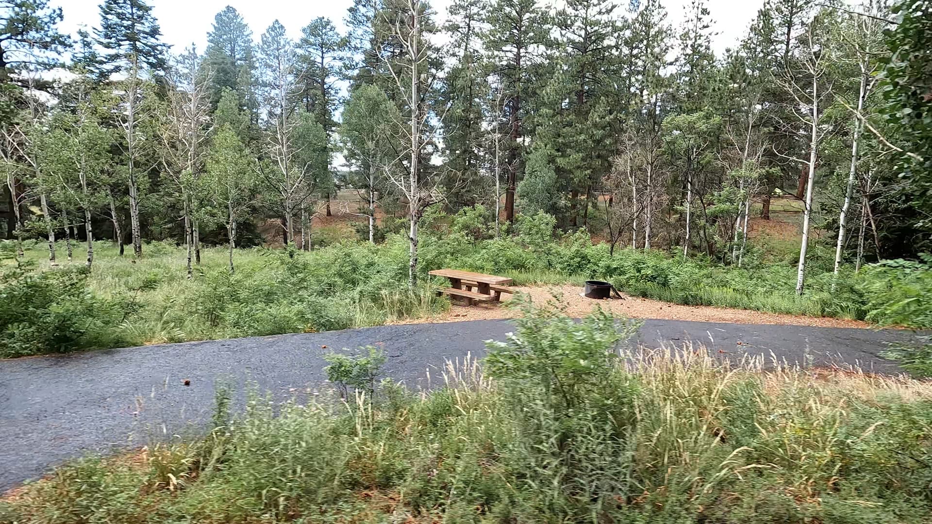 Site 8