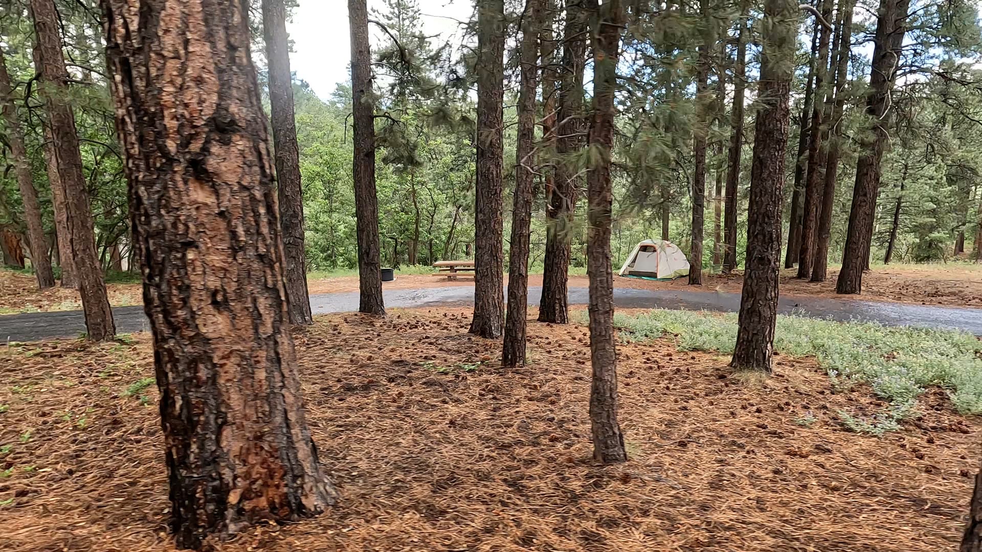Site 25