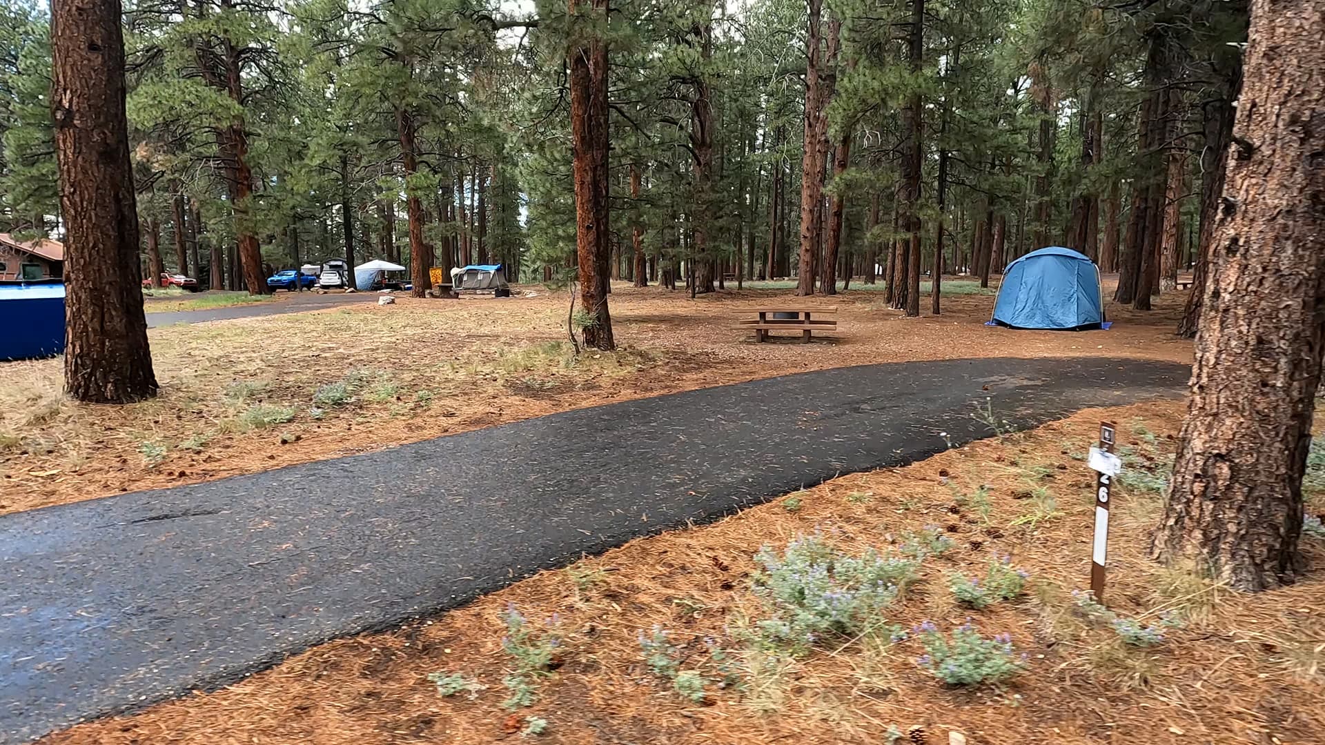 Site 26