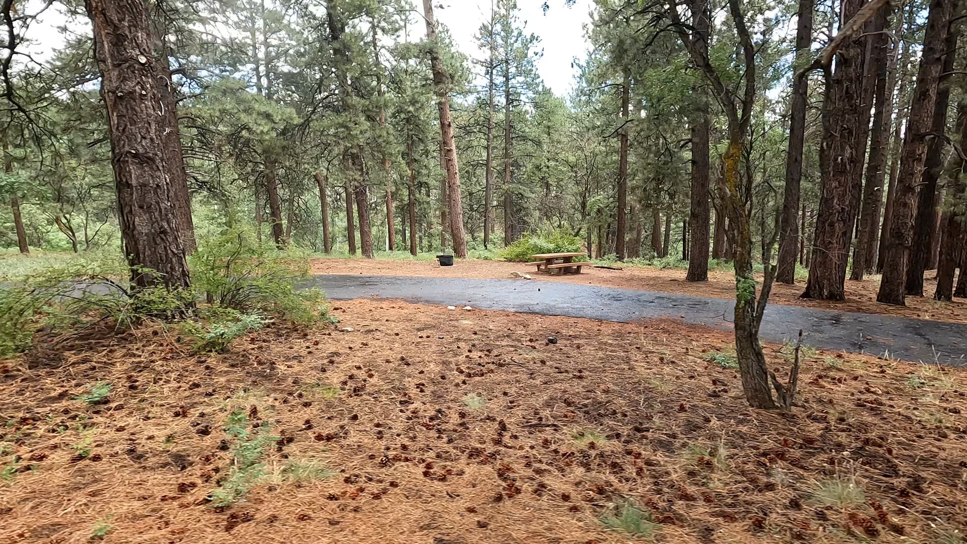 Site 23