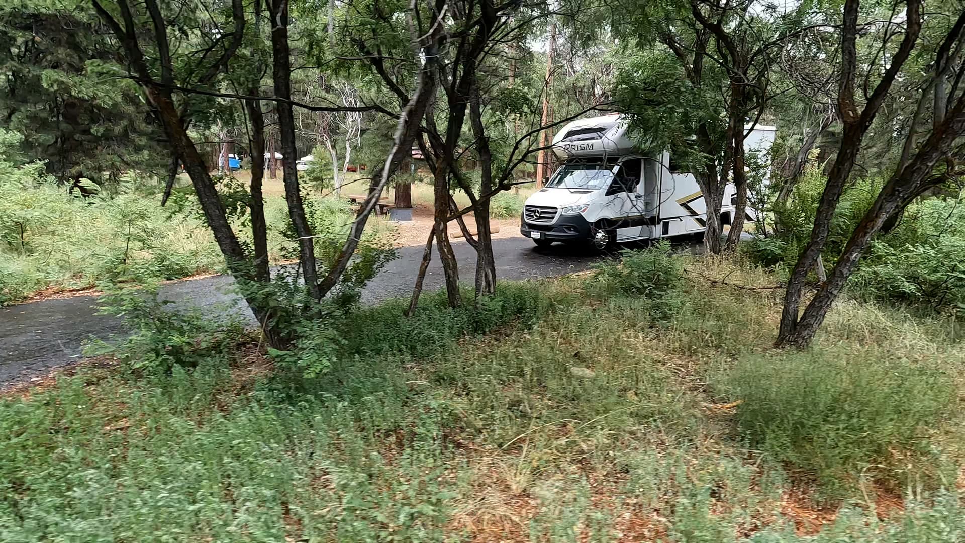 Site 17