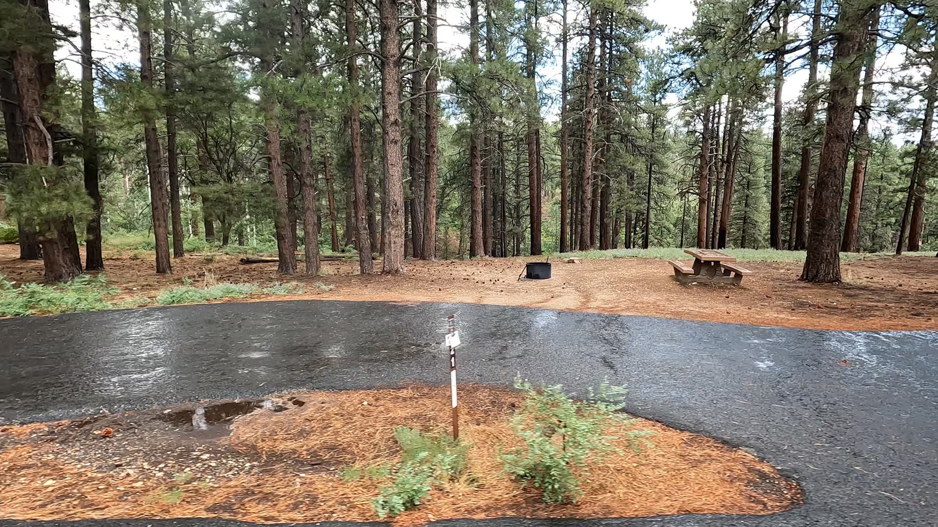Site 21