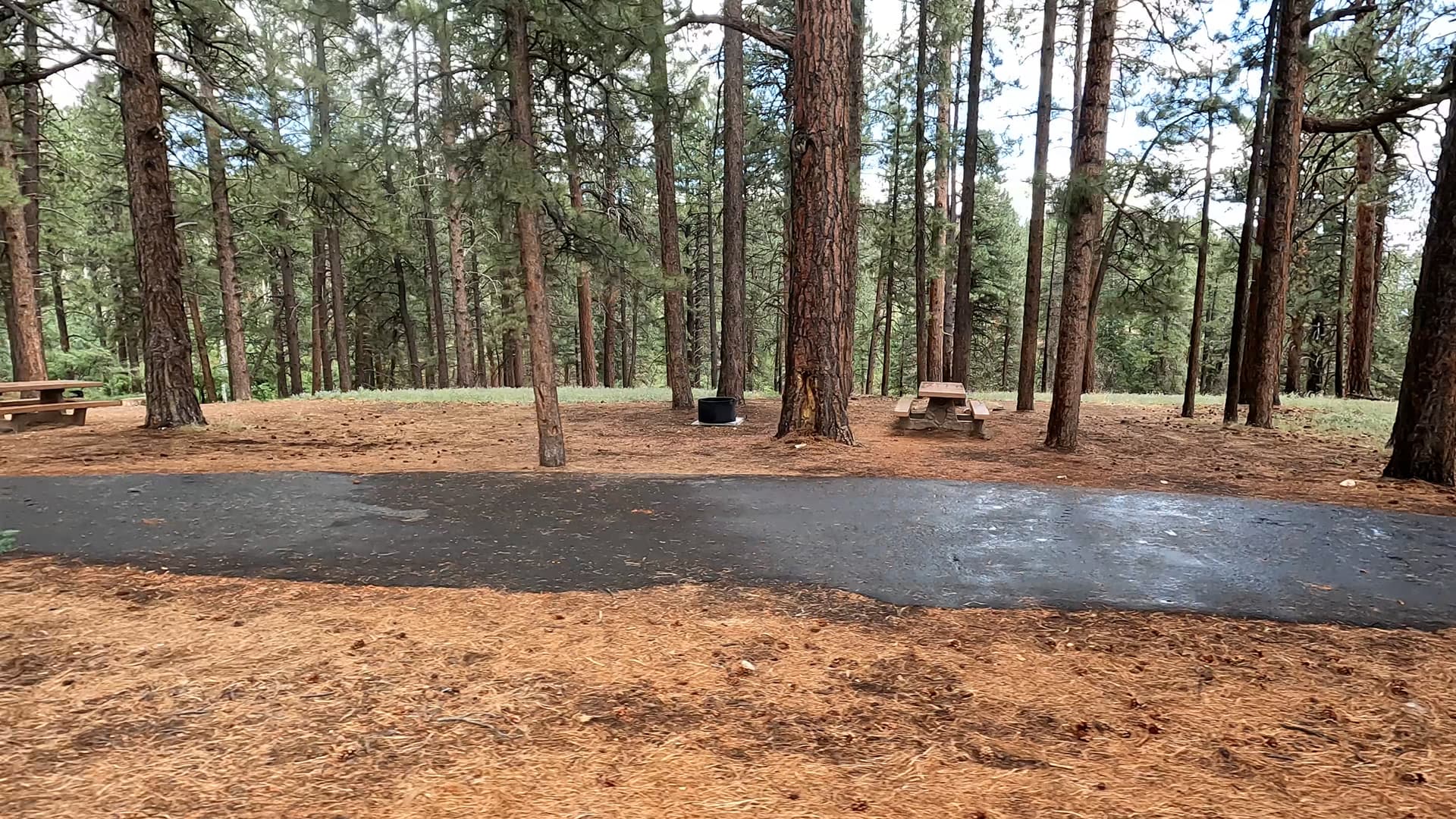 Site 19