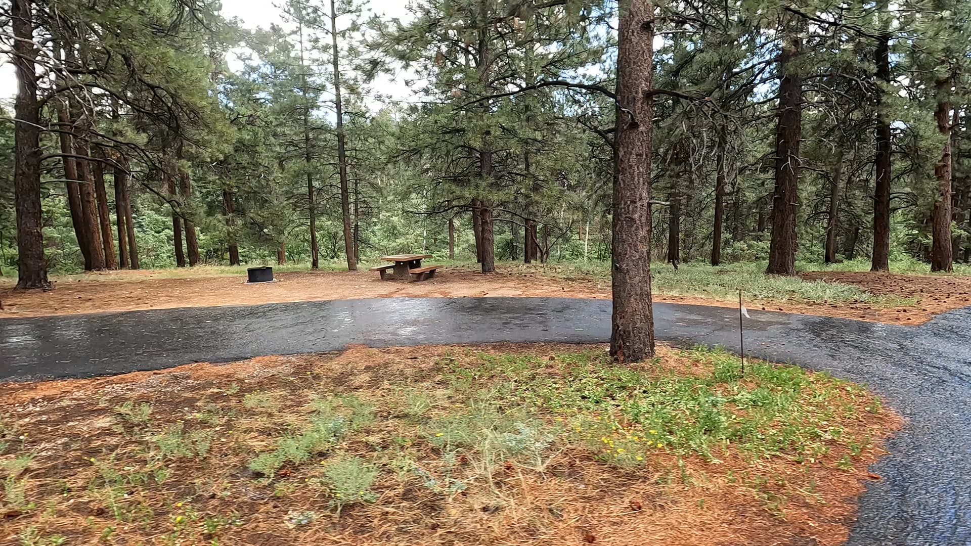 Site 24