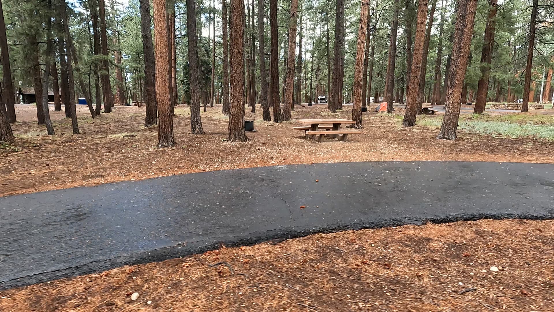Site 33