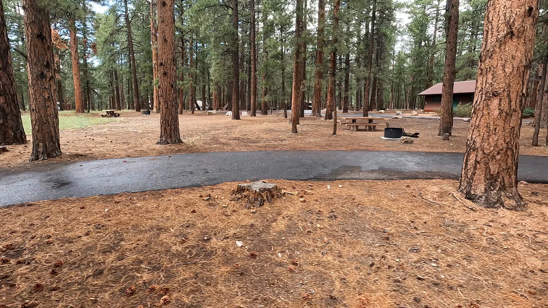 Site 37