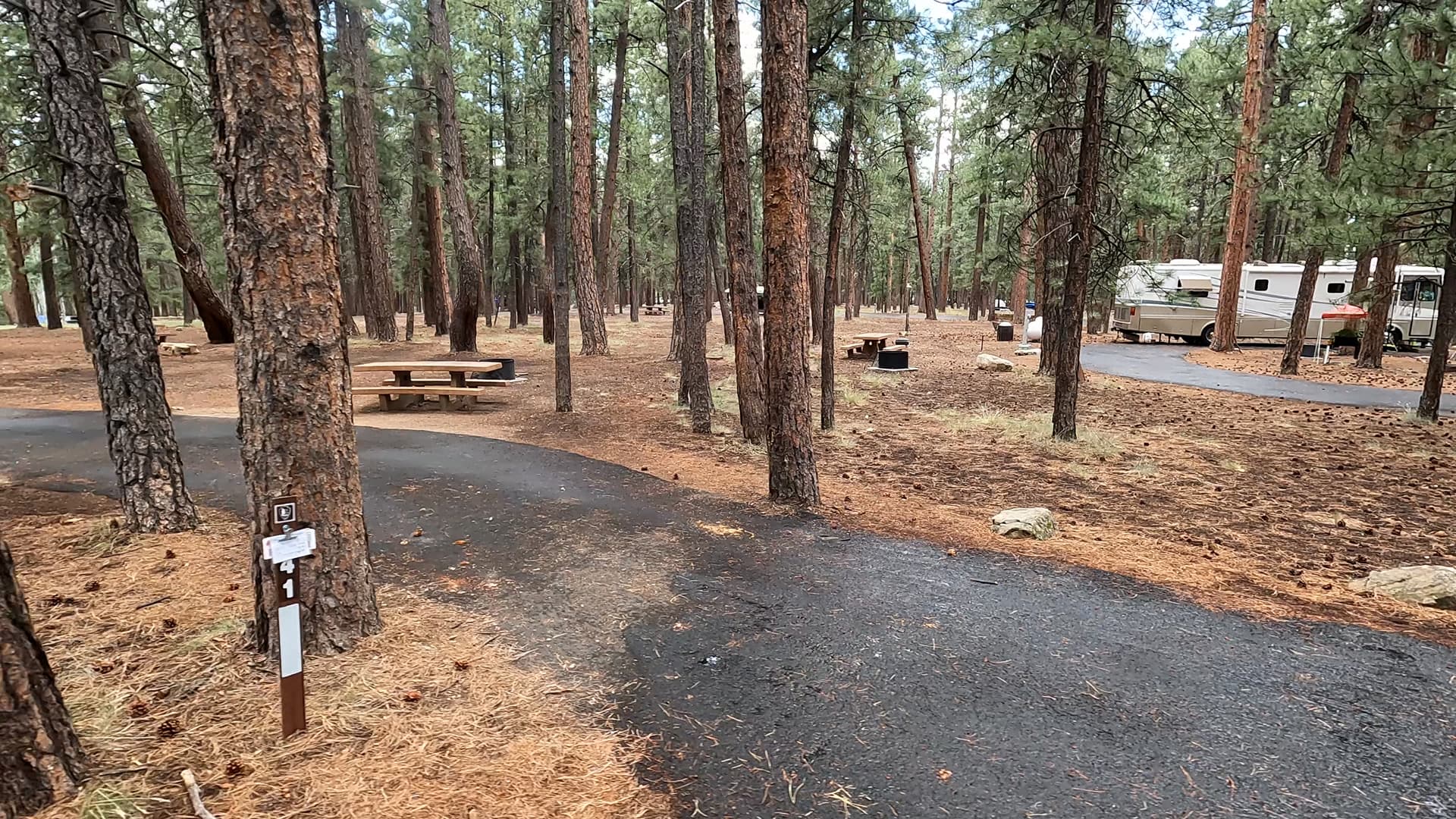 Site 41
