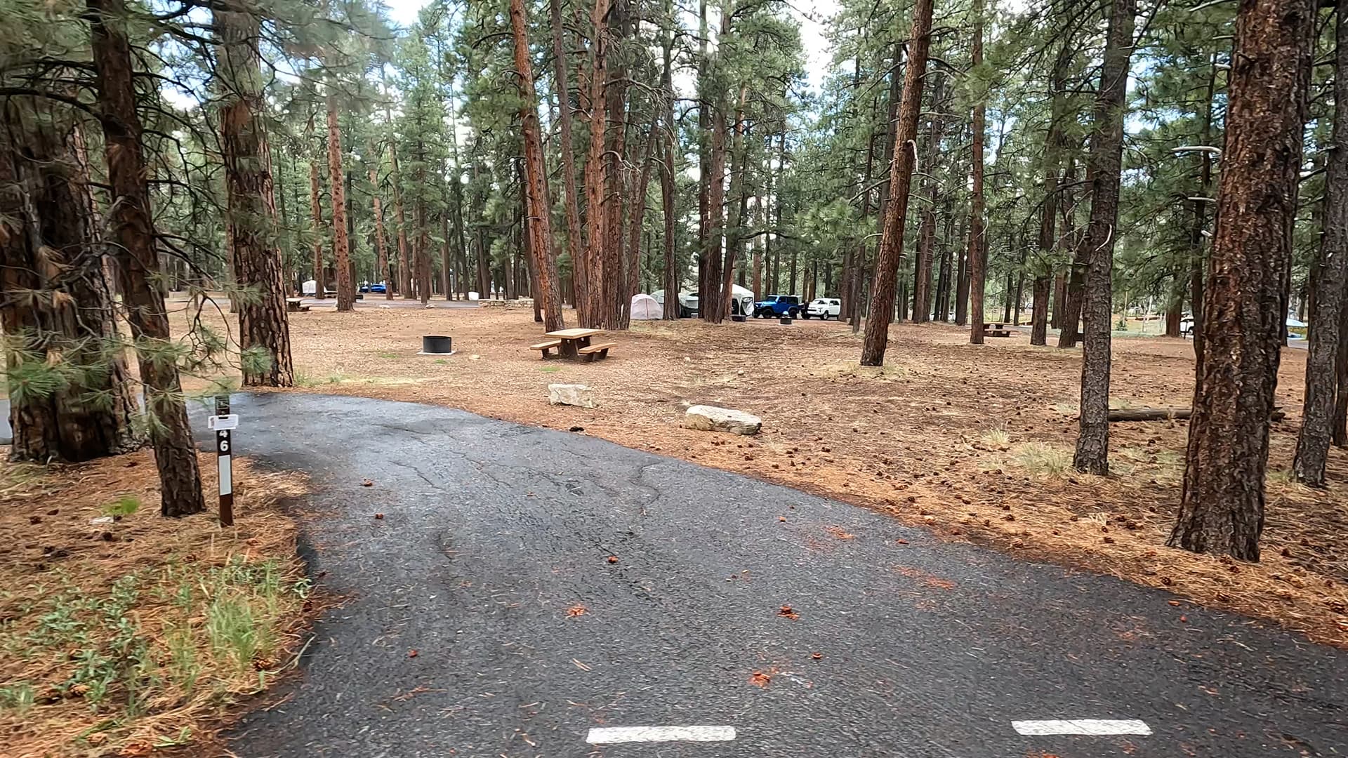 Site 46
