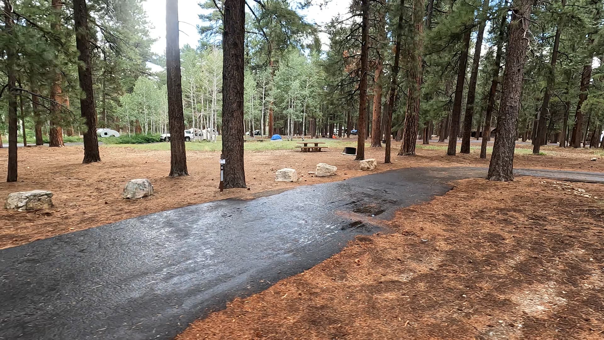 Site 44