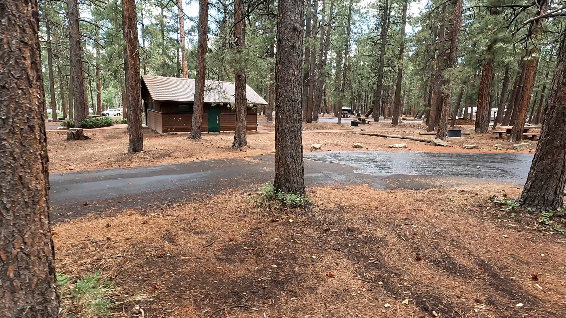 Site 39