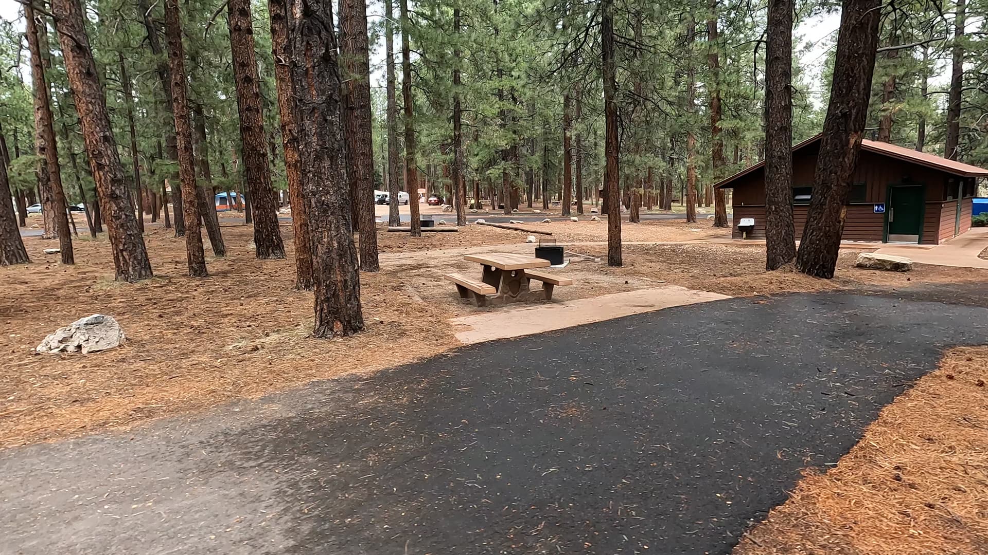 Site 42