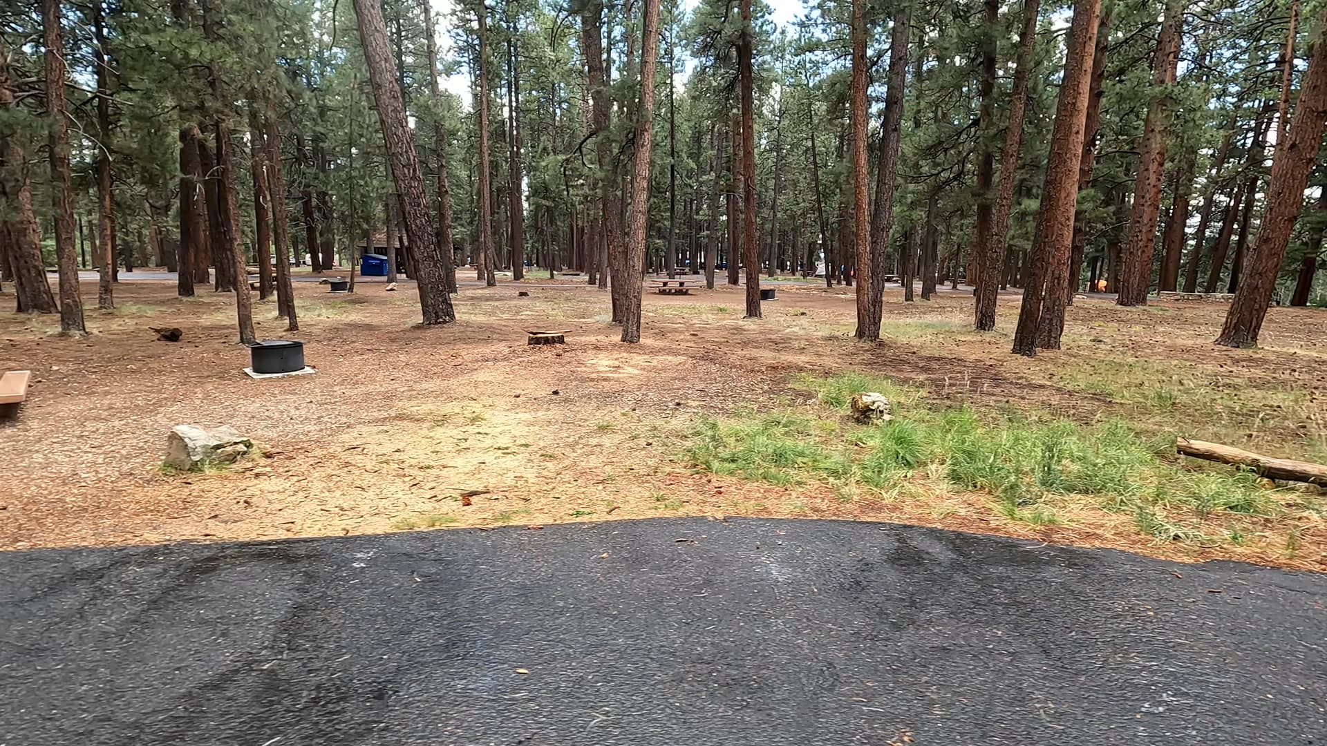 Site 48