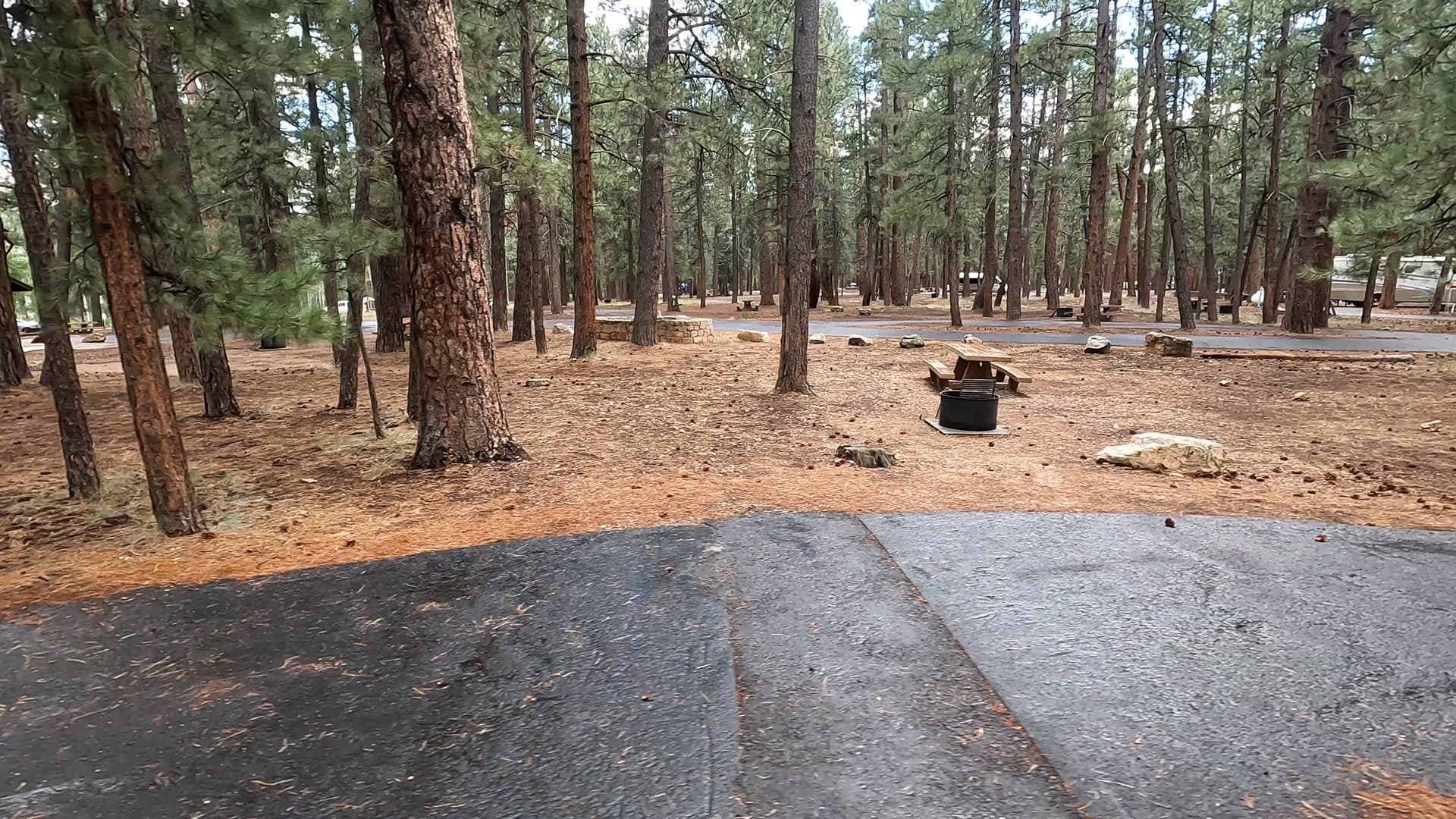 Site 40