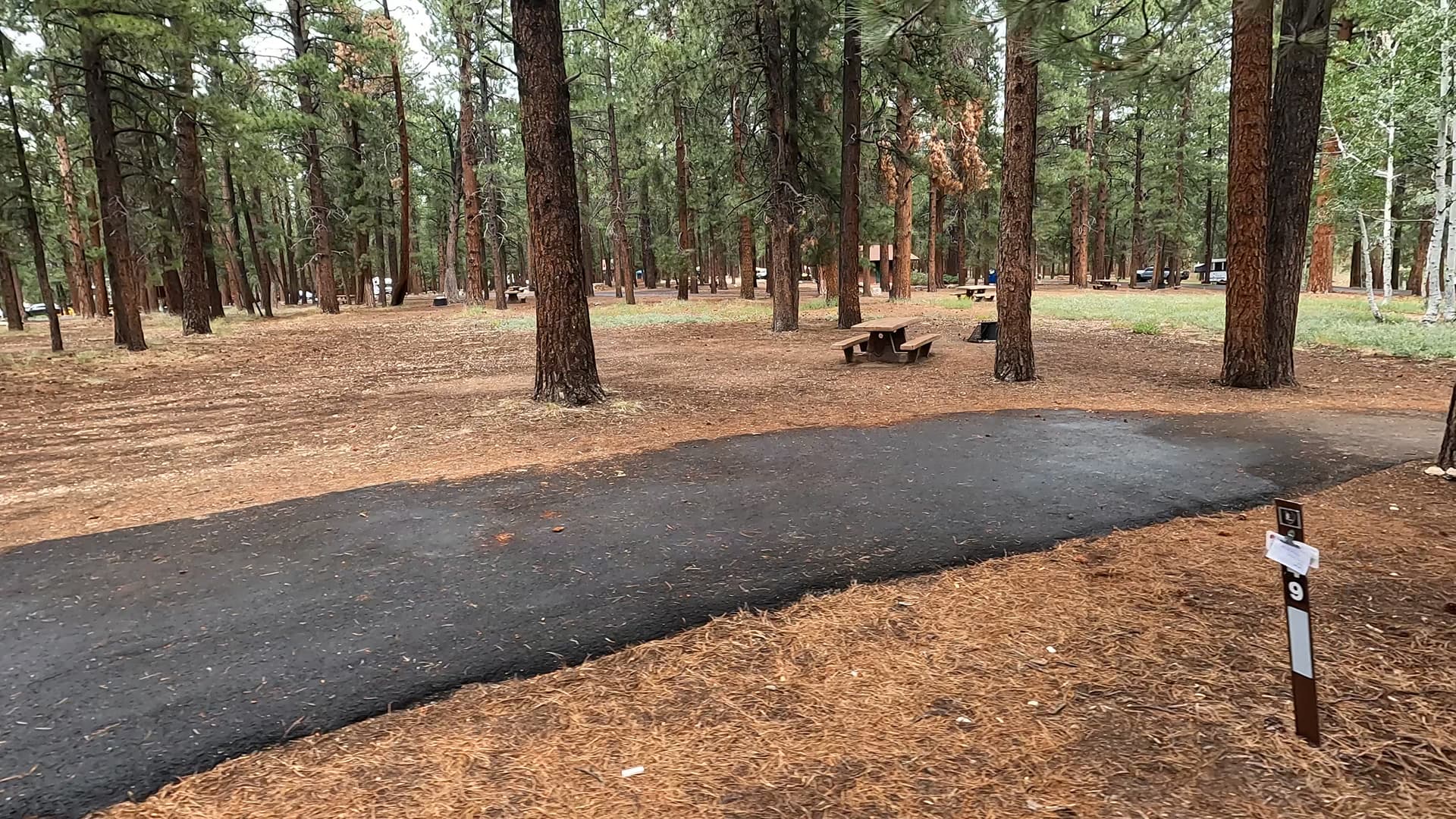 Site 49