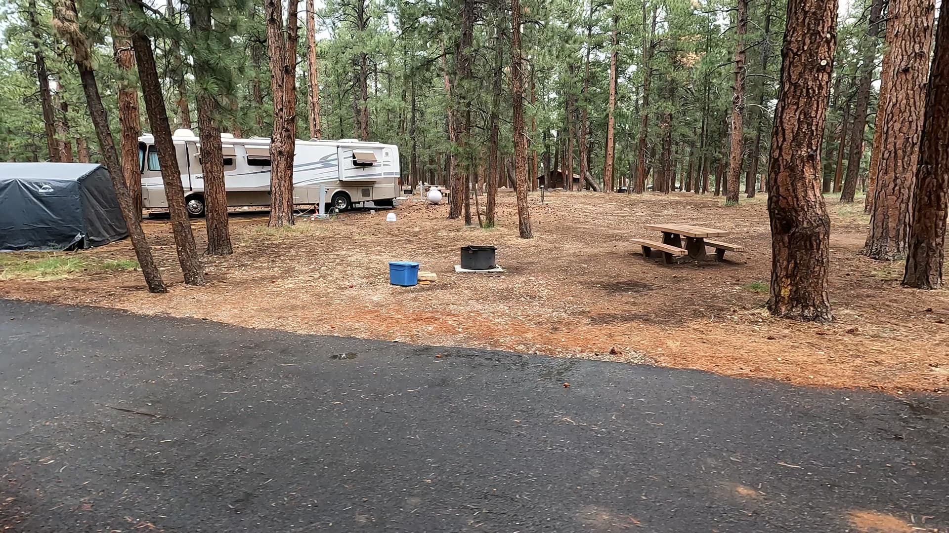 Site 45