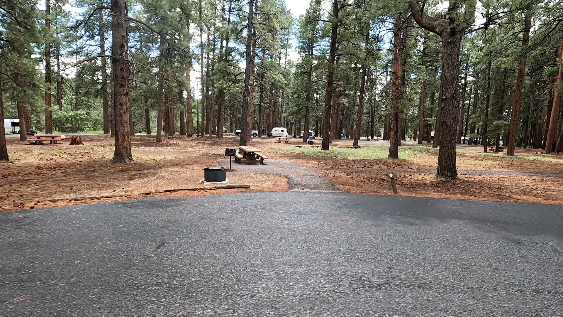 Site 60
