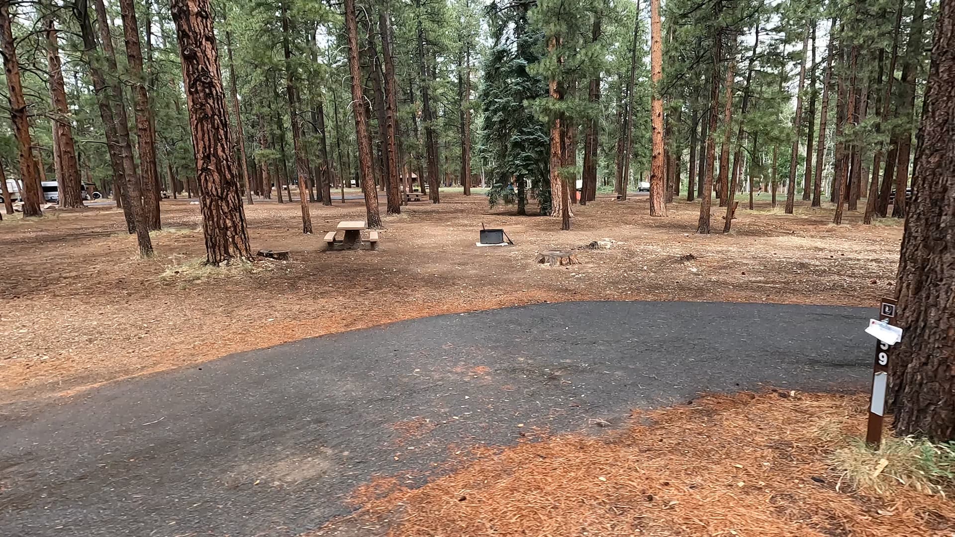 Site 59