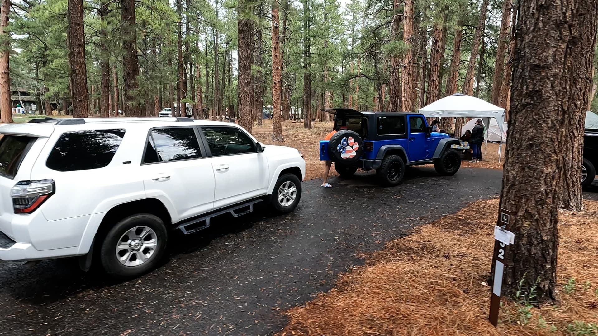 Site 52