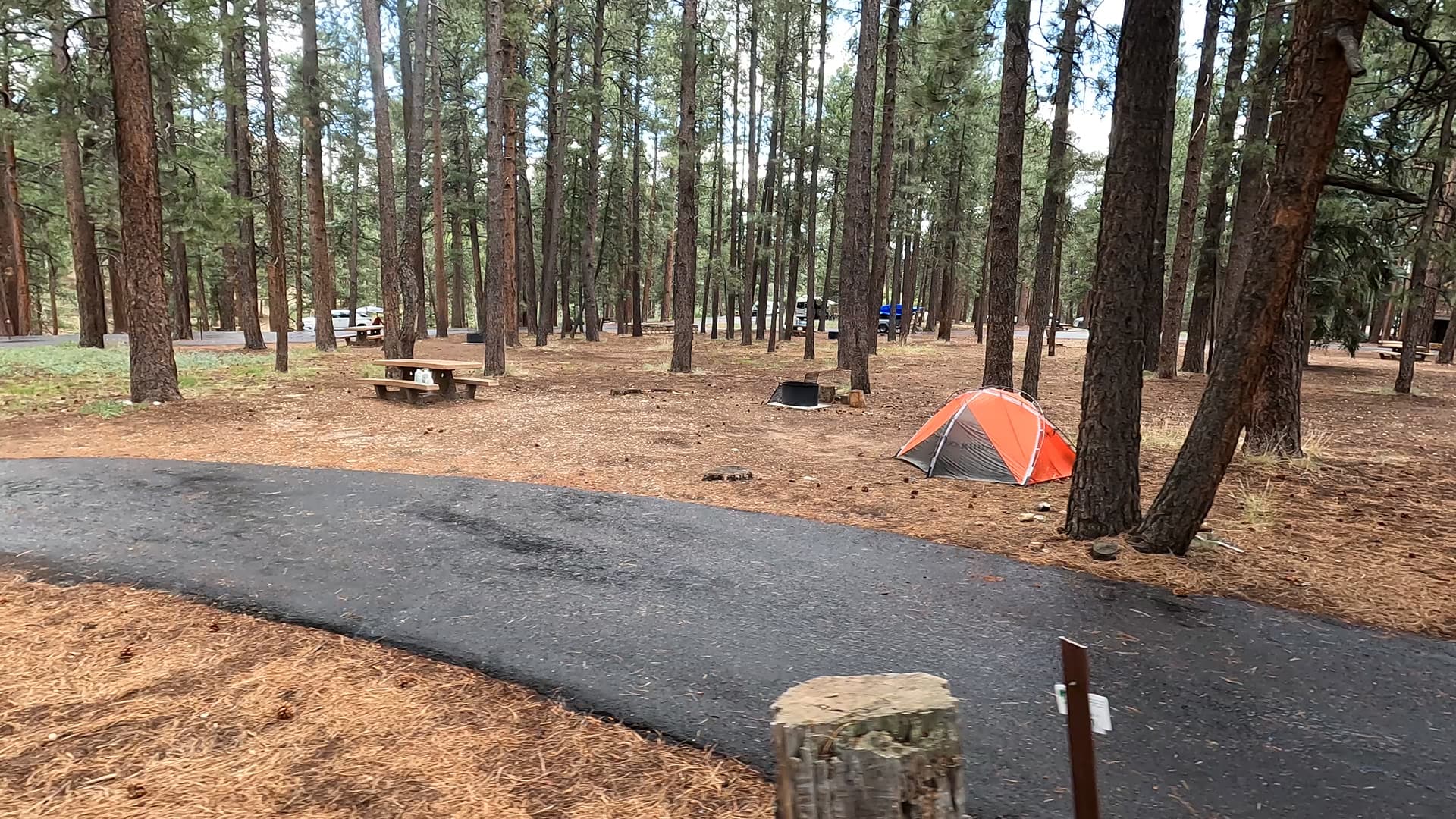 Site 51