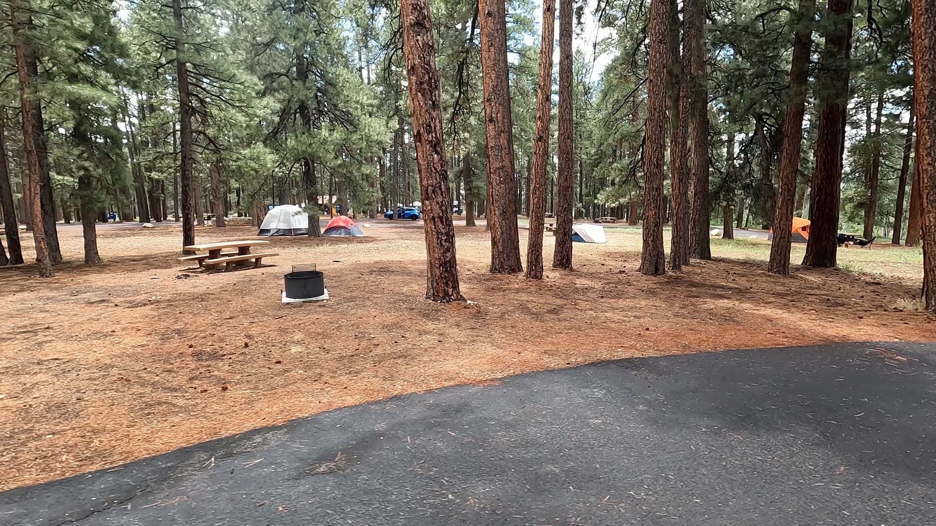 Site 55