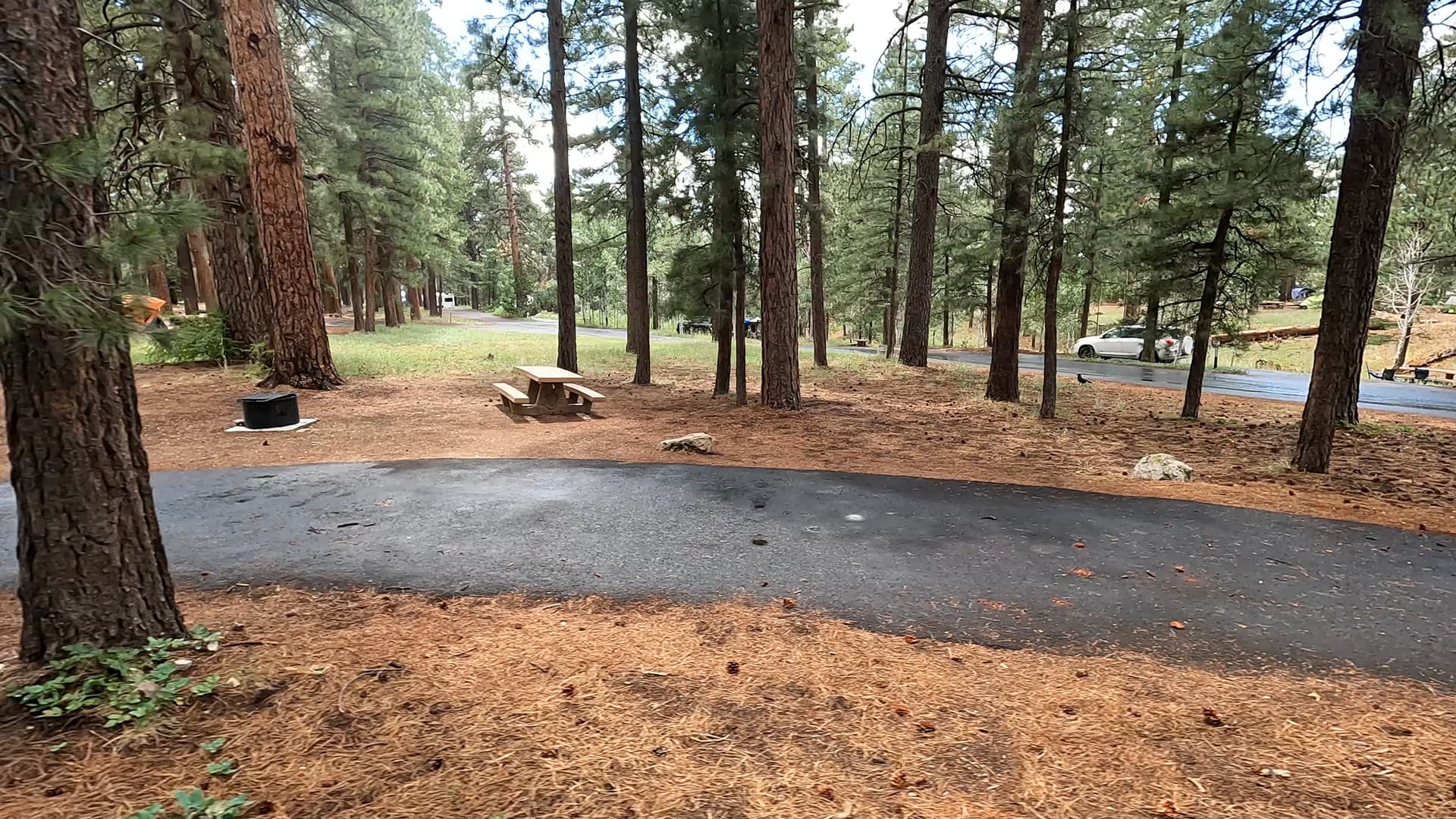 Site 53