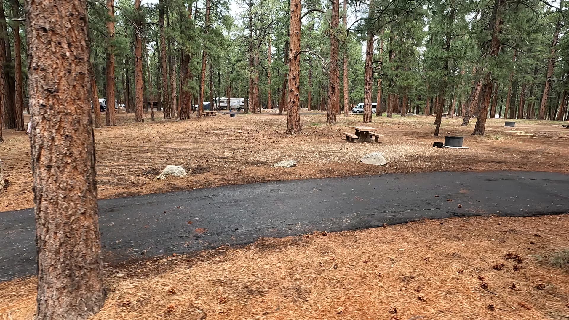 Site 54