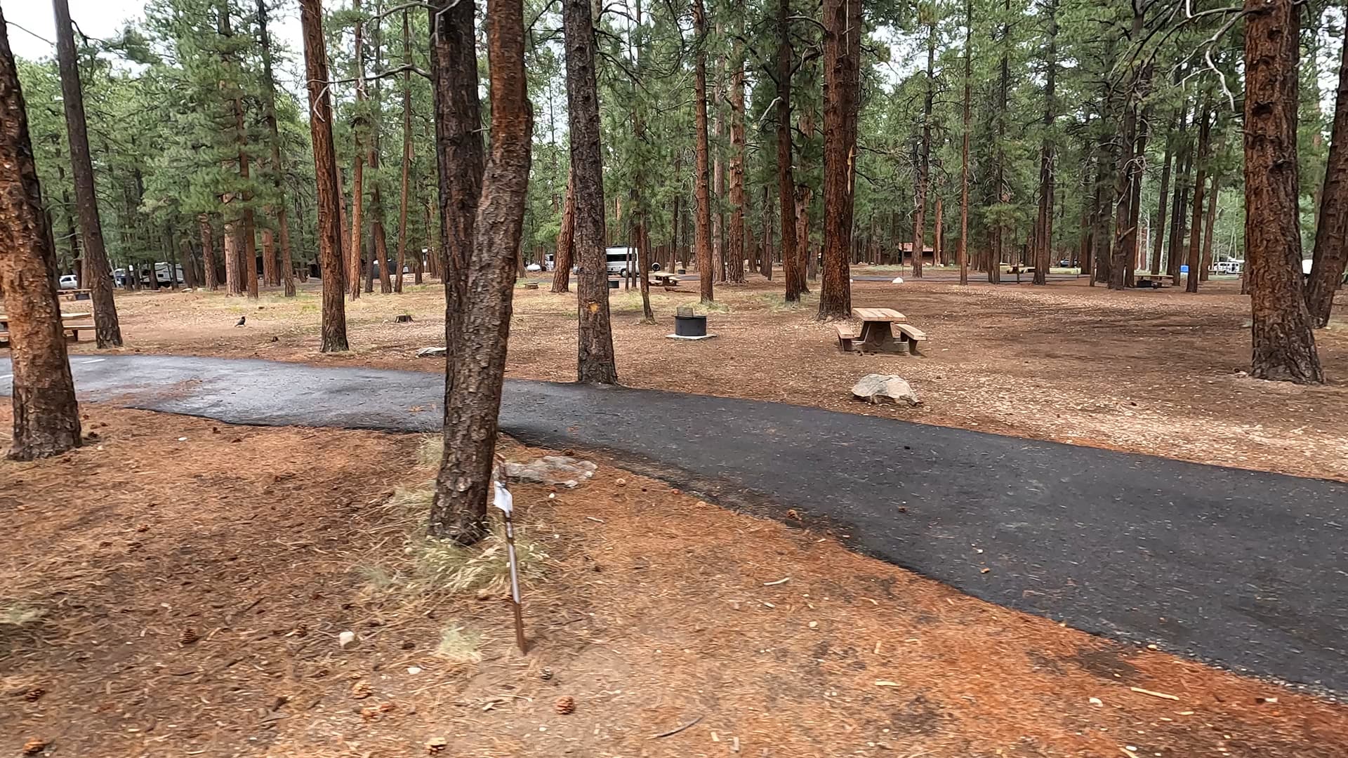 Site 58