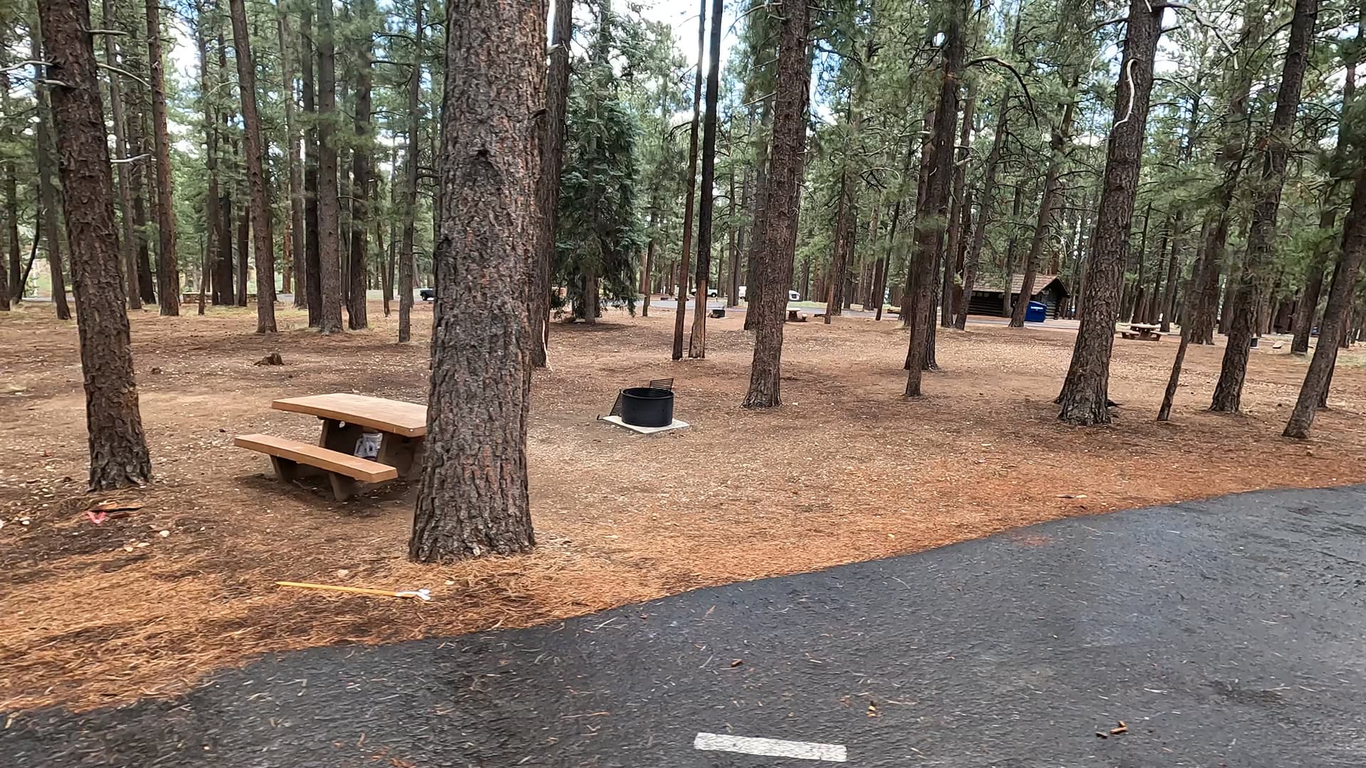 Site 50