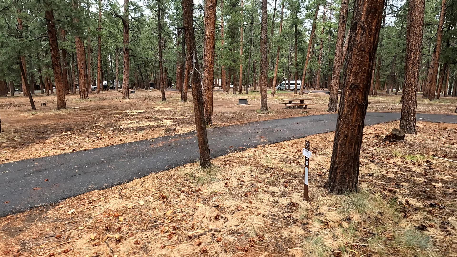Site 56
