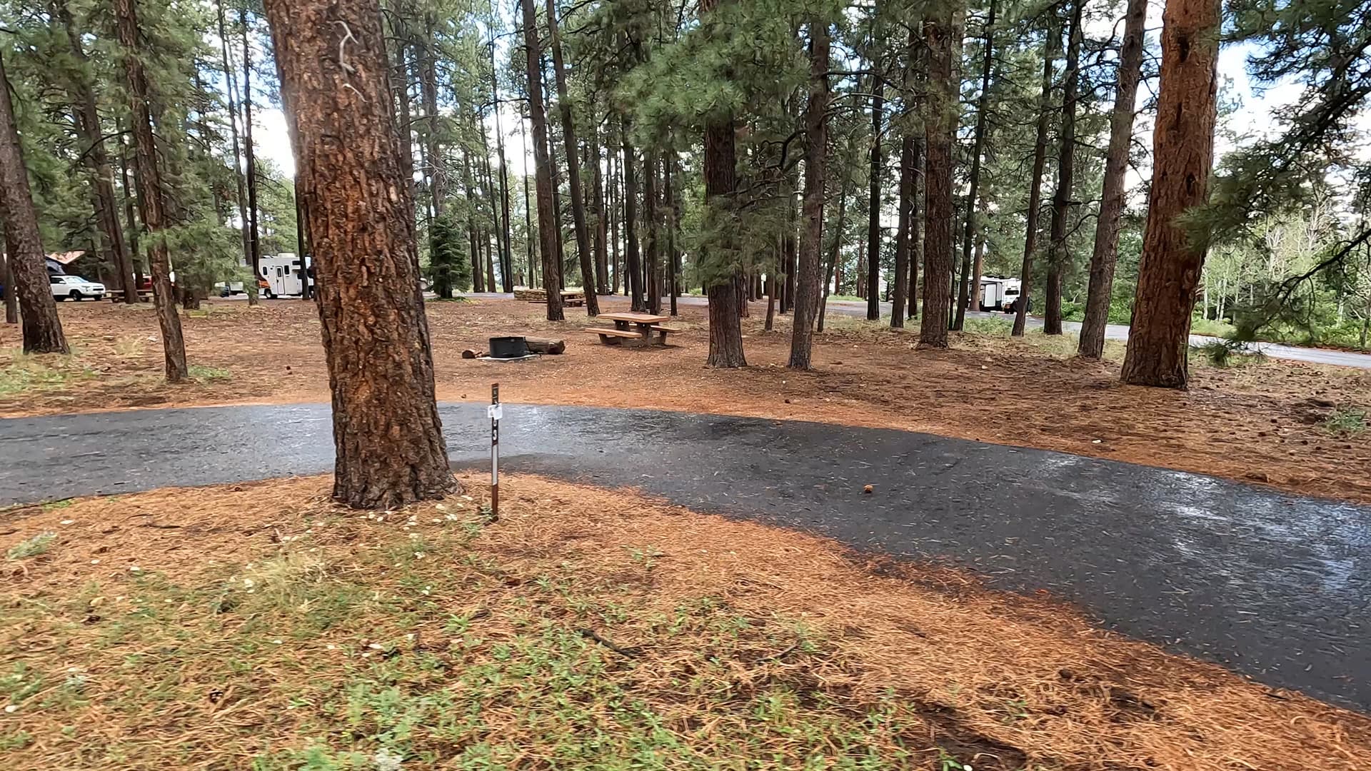 Site 63