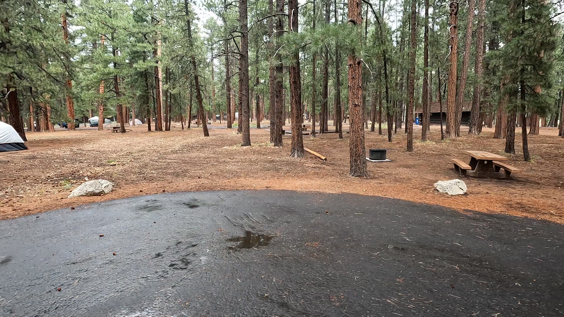 Site 67
