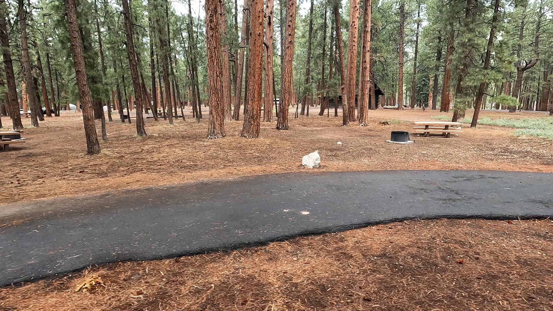 Site 69