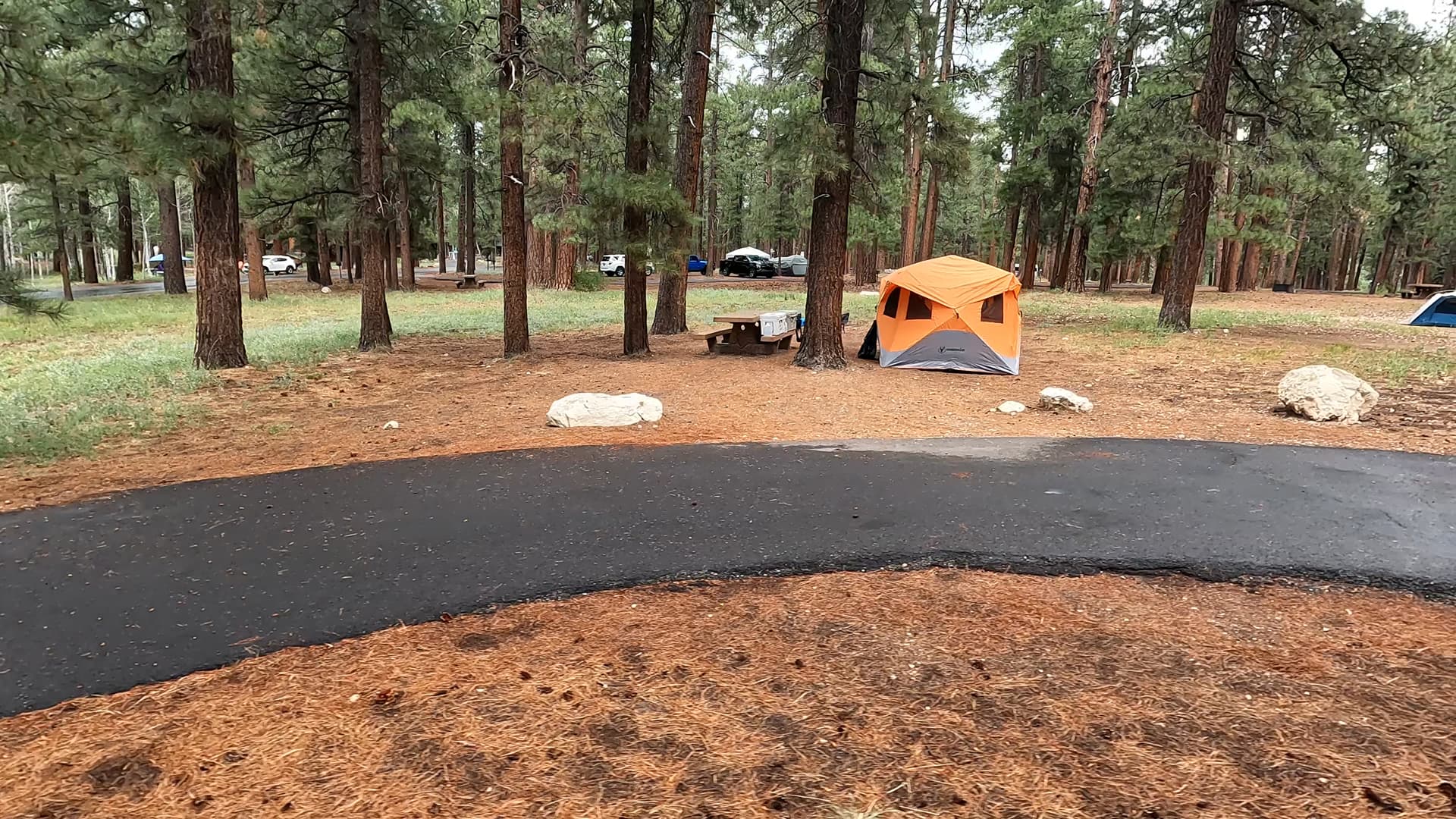 Site 62