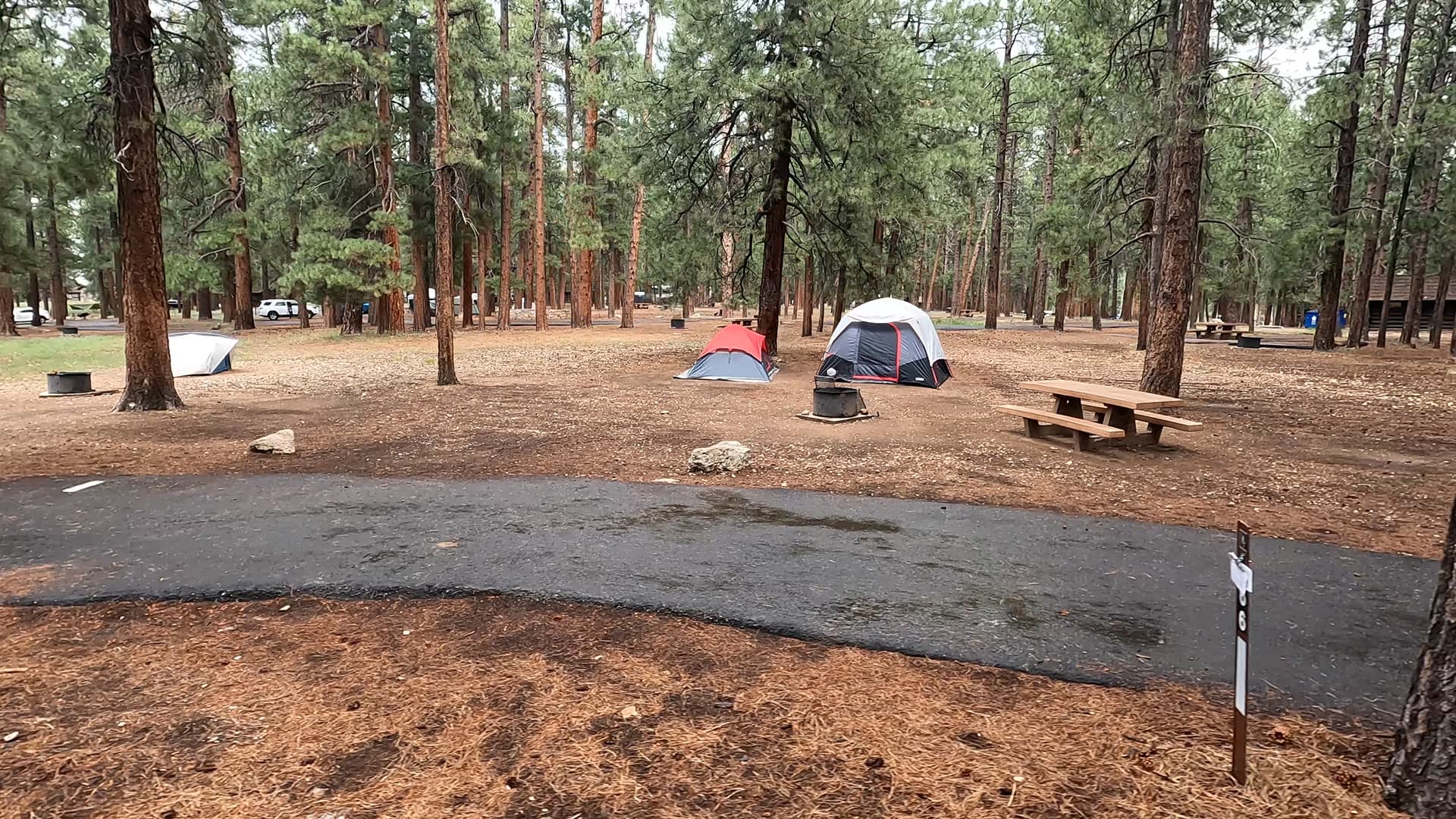 Site 66